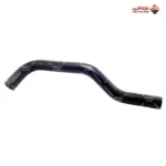 1055139667_خرطوم سخن صدر ماليزى - جيلى