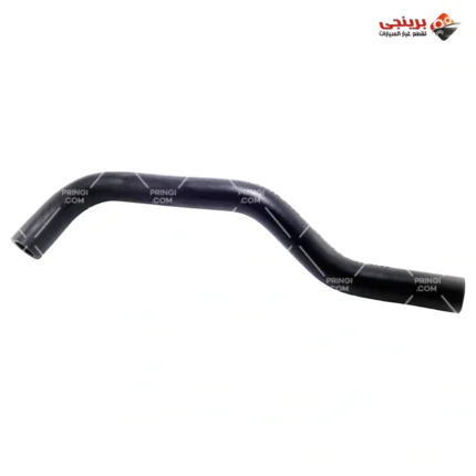 1055139667_خرطوم سخن صدر ماليزى - جيلى