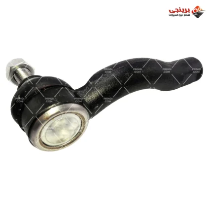 1729916819_بيضة طرف شمال تيجو - GSP
