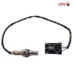 1855183808_حساس جكمان قصير اصلى - جيلى