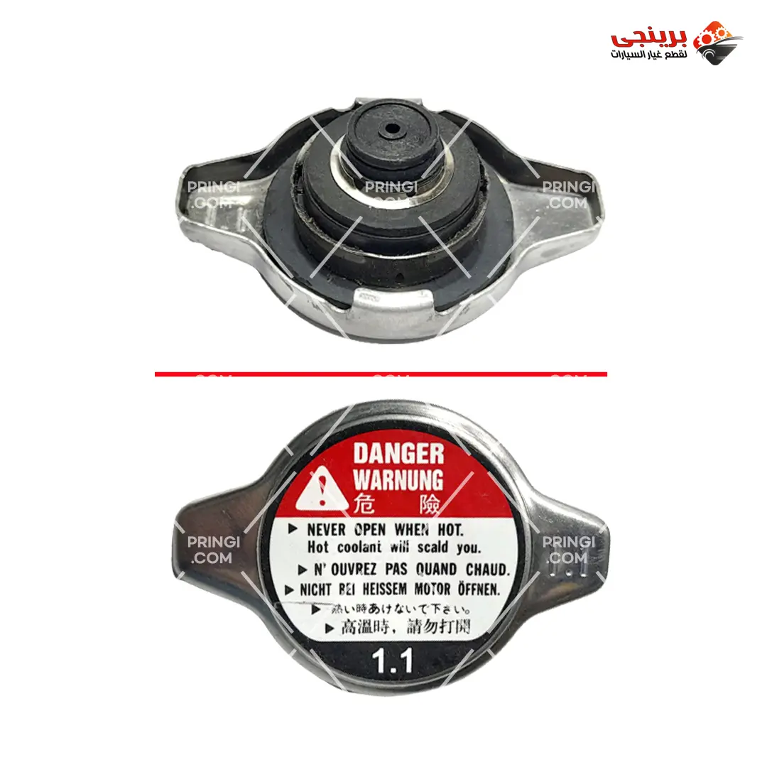 554719657_غطاء ردياتير واطى 113 - 1.1 554719657_غطاء ردياتير واطى 113 - 1.1.webp