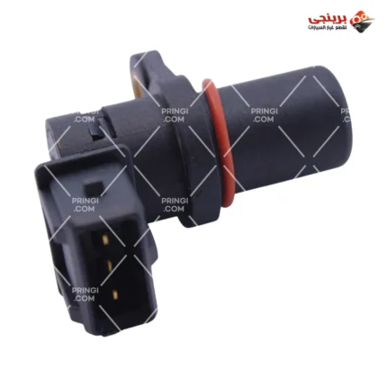 407597629_حساس كامة قديم اصلى_2 - انفى
